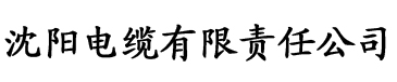 麻豆AV一区二区三区电缆厂logo